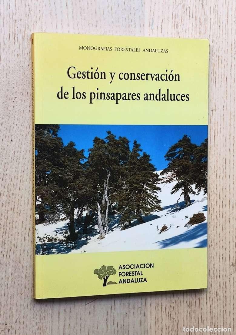 Libros de segunda mano: GESTI&Oacute;N Y CONSERVACI&Oacute;N DE LOS PINSAPARES ANDALUCES - VVAA