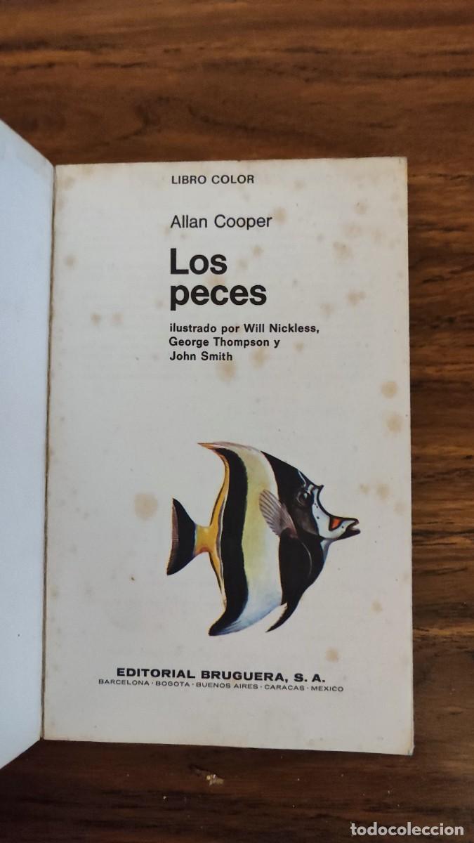 Libros de segunda mano: LIBROS - CIENCIA - ANIMALES - LIBRO COLOR BRUGUERA LOS PECES - Foto 2