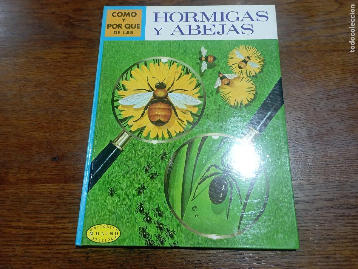 Libros de segunda mano: Como y por que de las Hormigas y abejas - AM1 - Foto 1