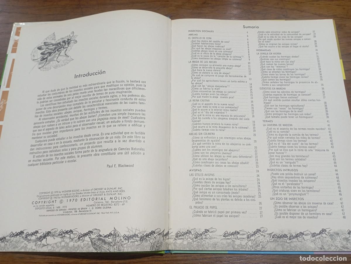 Libros de segunda mano: Como y por que de las Hormigas y abejas - AM1 - Foto 2