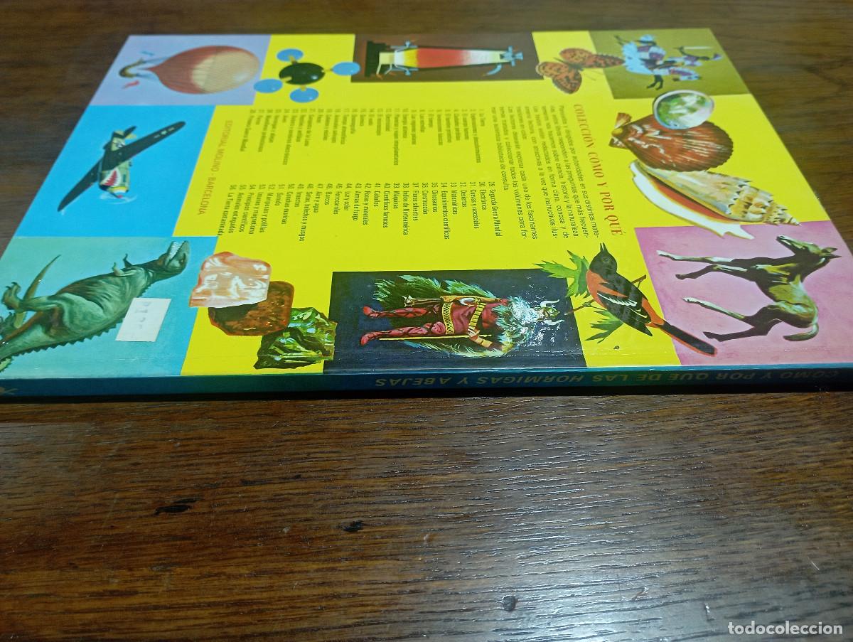 Libros de segunda mano: Como y por que de las Hormigas y abejas - AM1 - Foto 5