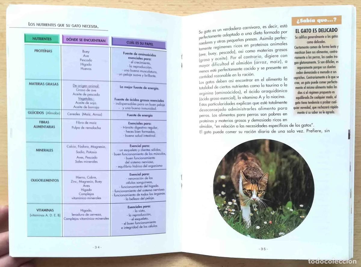 Libros de segunda mano: El libro del gato. Royal Canin. 1996 - Foto 5