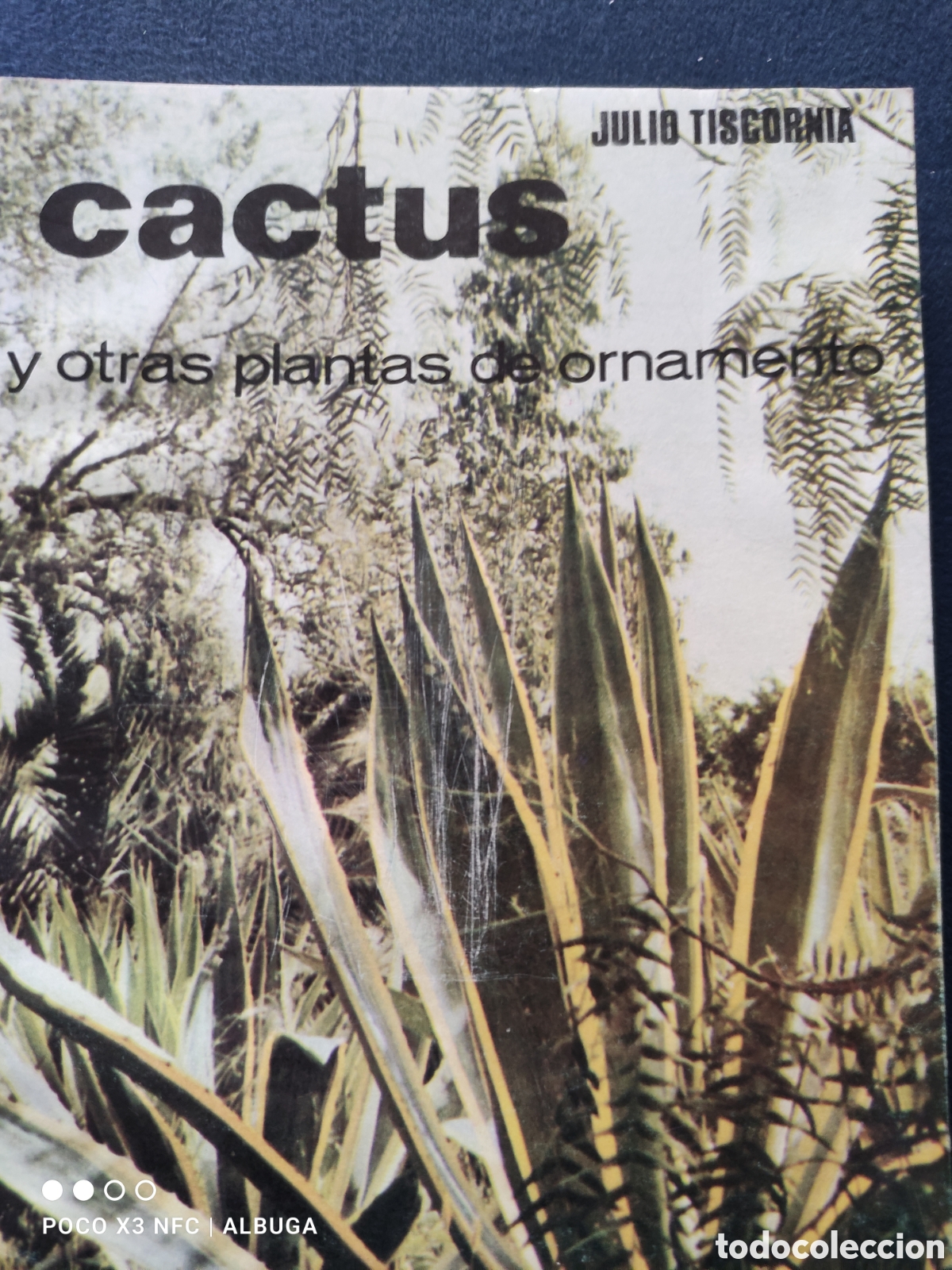 Libros de segunda mano: Cactus y otras plantas de ornamento. - Foto 1