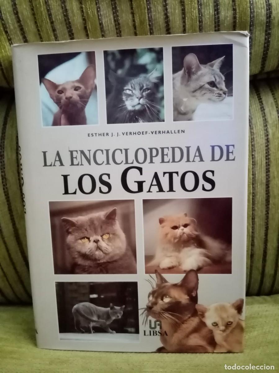 Libros de segunda mano: LOS GATOS enciclopedia - Foto 1