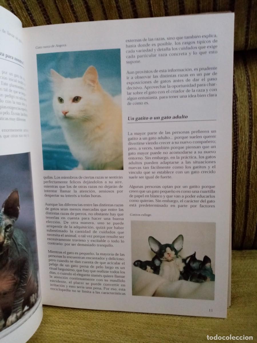 Libros de segunda mano: LOS GATOS enciclopedia - Foto 7