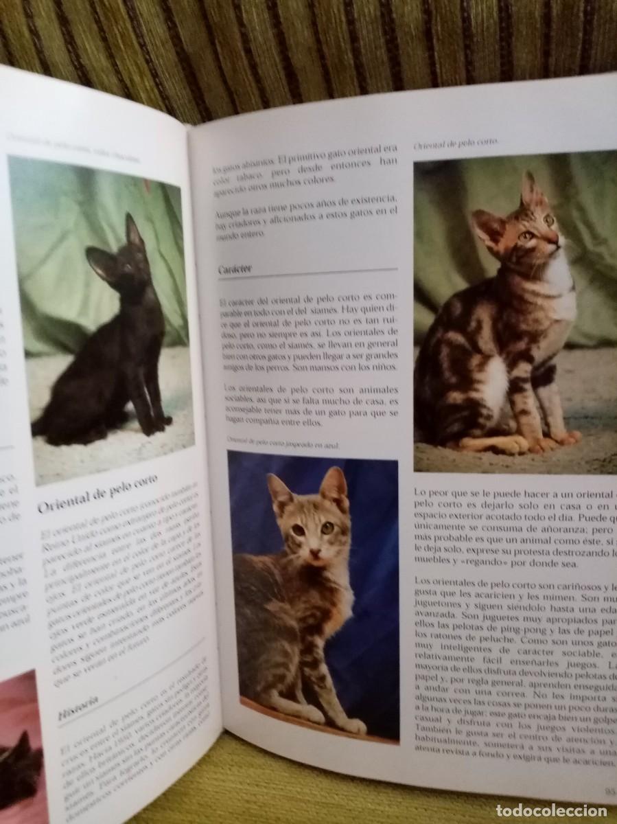 Libros de segunda mano: LOS GATOS enciclopedia - Foto 9