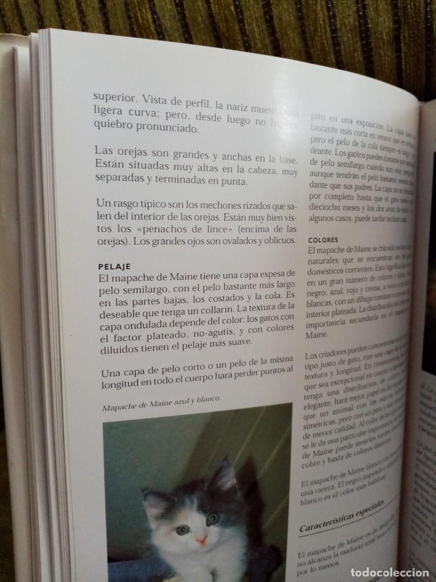 Libros de segunda mano: LOS GATOS enciclopedia - Foto 10