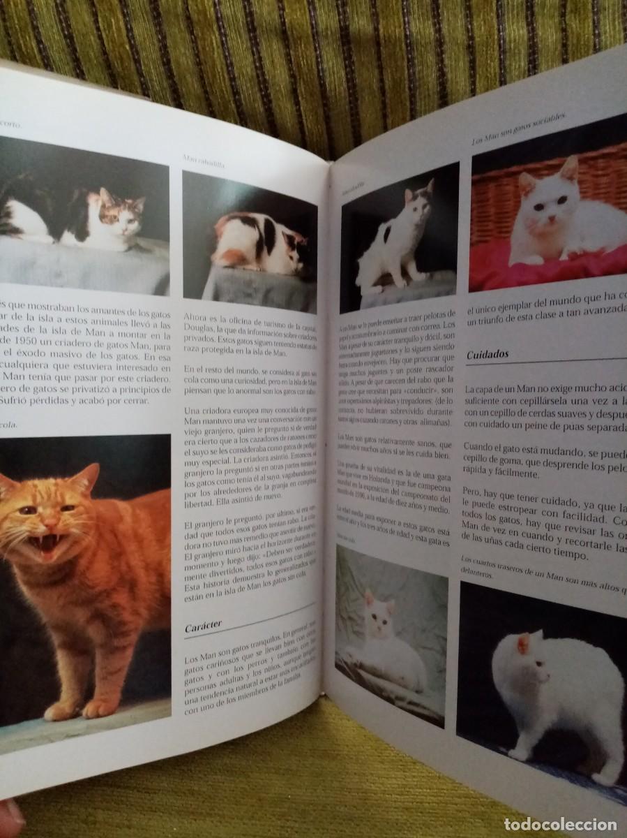 Libros de segunda mano: LOS GATOS enciclopedia - Foto 11