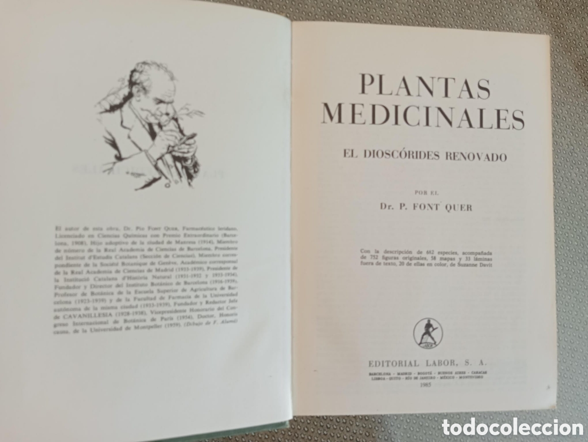Libros de segunda mano: Plantas medicinales El diosc&oacute;rides renovado / Pio Font Quer. - Foto 2