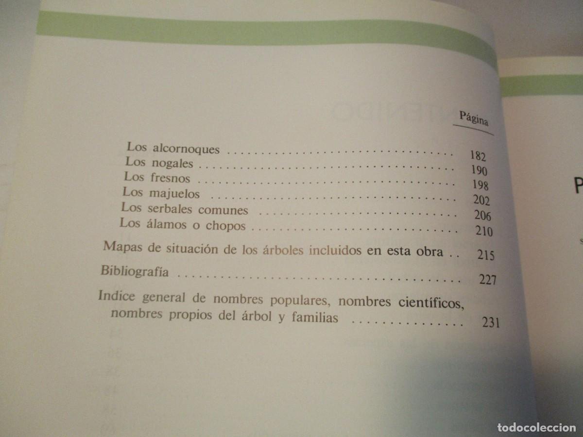 Libros de segunda mano: &Aacute;RBOLES DE CASTILLA LA MANCHA W23221 - Foto 3
