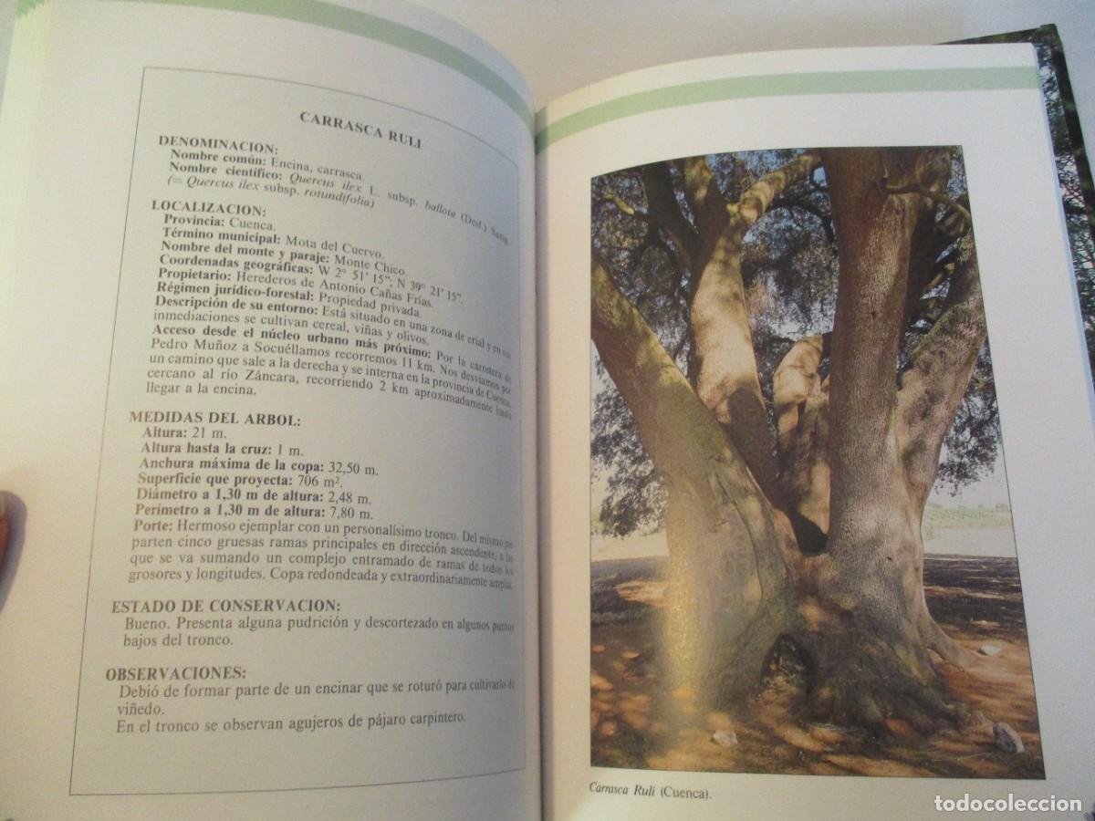 Libros de segunda mano: &Aacute;RBOLES DE CASTILLA LA MANCHA W23221 - Foto 4