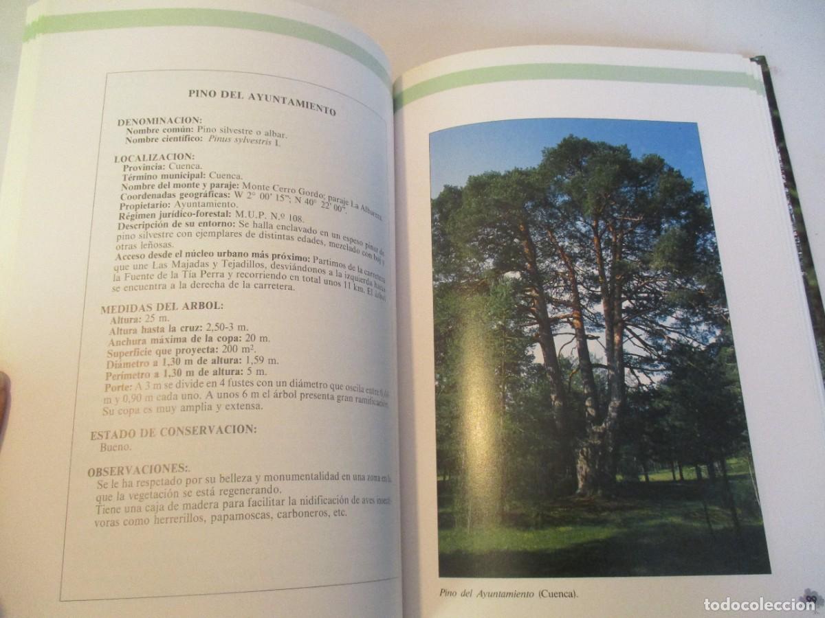 Libros de segunda mano: &Aacute;RBOLES DE CASTILLA LA MANCHA W23221 - Foto 5