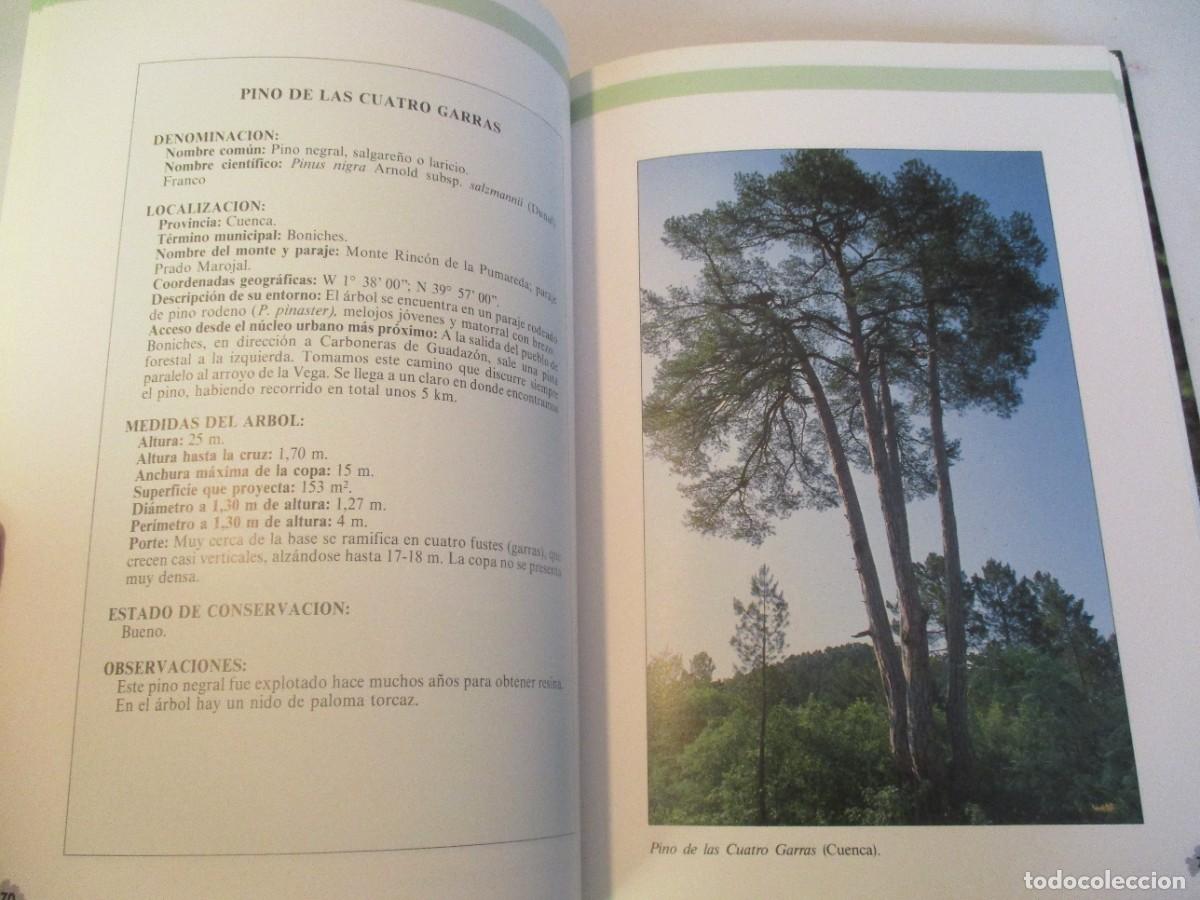 Libros de segunda mano: &Aacute;RBOLES DE CASTILLA LA MANCHA W23221 - Foto 6