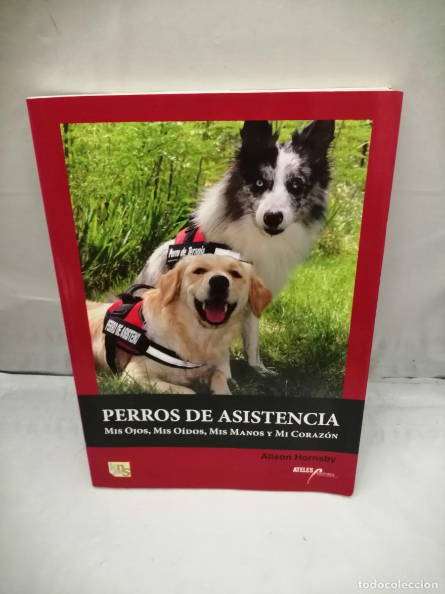 Libri di seconda mano: Perros de asistencia: Mis ojos, mis o&iacute;dos, mis manos y mi coraz&oacute;n