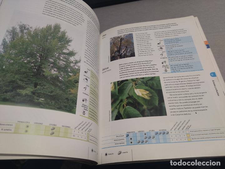 Libros de segunda mano: JARDINER&Iacute;A PR&Aacute;CTICA: &Aacute;RBOLES Y ARBUSTOS / KEITH RUSHFORTH / C&Iacute;RCULO DE LECTORES - Foto 2