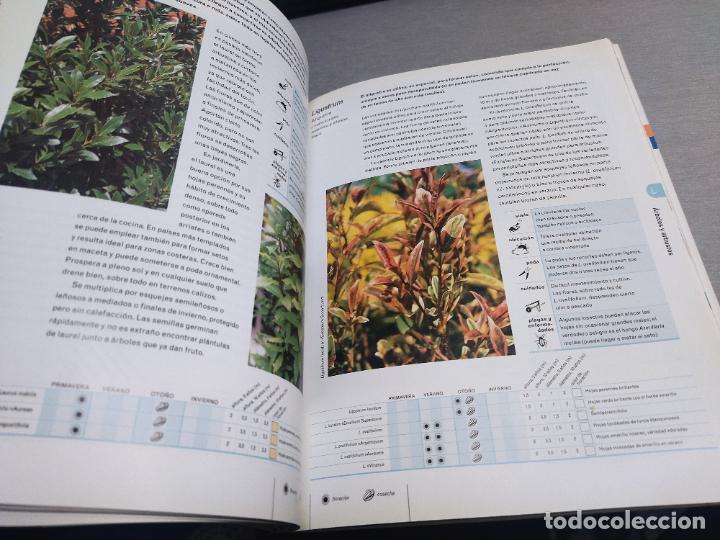 Libros de segunda mano: JARDINER&Iacute;A PR&Aacute;CTICA: &Aacute;RBOLES Y ARBUSTOS / KEITH RUSHFORTH / C&Iacute;RCULO DE LECTORES - Foto 3