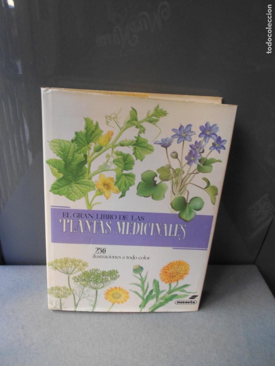 Libros de segunda mano: EL GRAN LIBRO DE LAS PLANTAS MEDICINALES - Foto 1