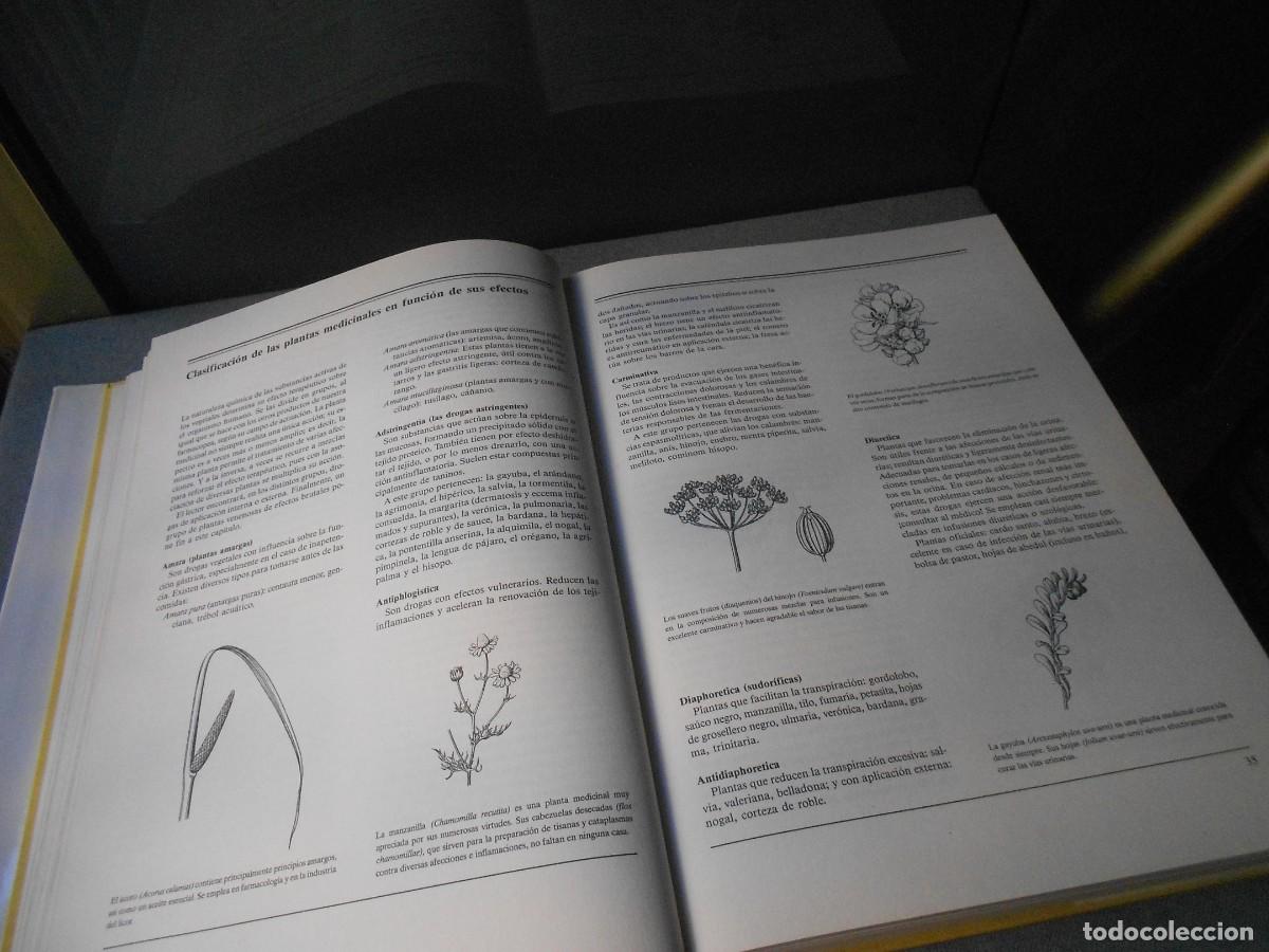 Libros de segunda mano: EL GRAN LIBRO DE LAS PLANTAS MEDICINALES - Foto 4