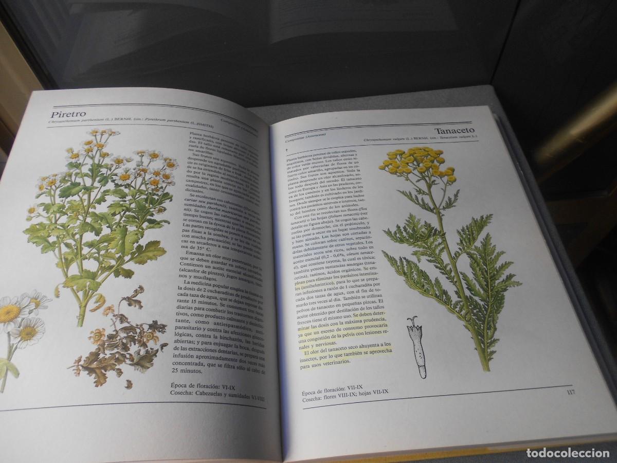 Libros de segunda mano: EL GRAN LIBRO DE LAS PLANTAS MEDICINALES - Foto 11