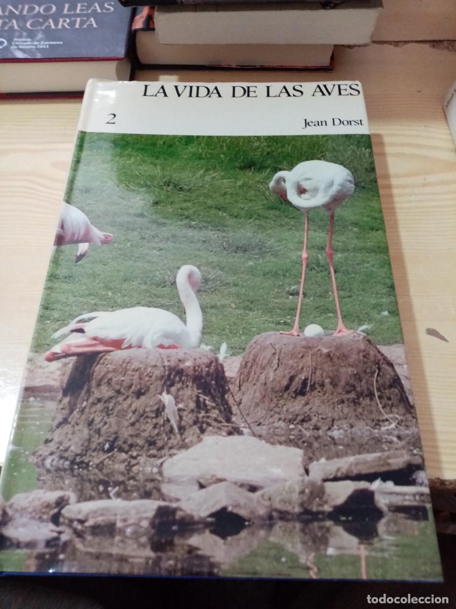 Libros de segunda mano: LA VIDA DE LAS AVES. JEAN DORST. TOMO 2. EST12B4 - Foto 1
