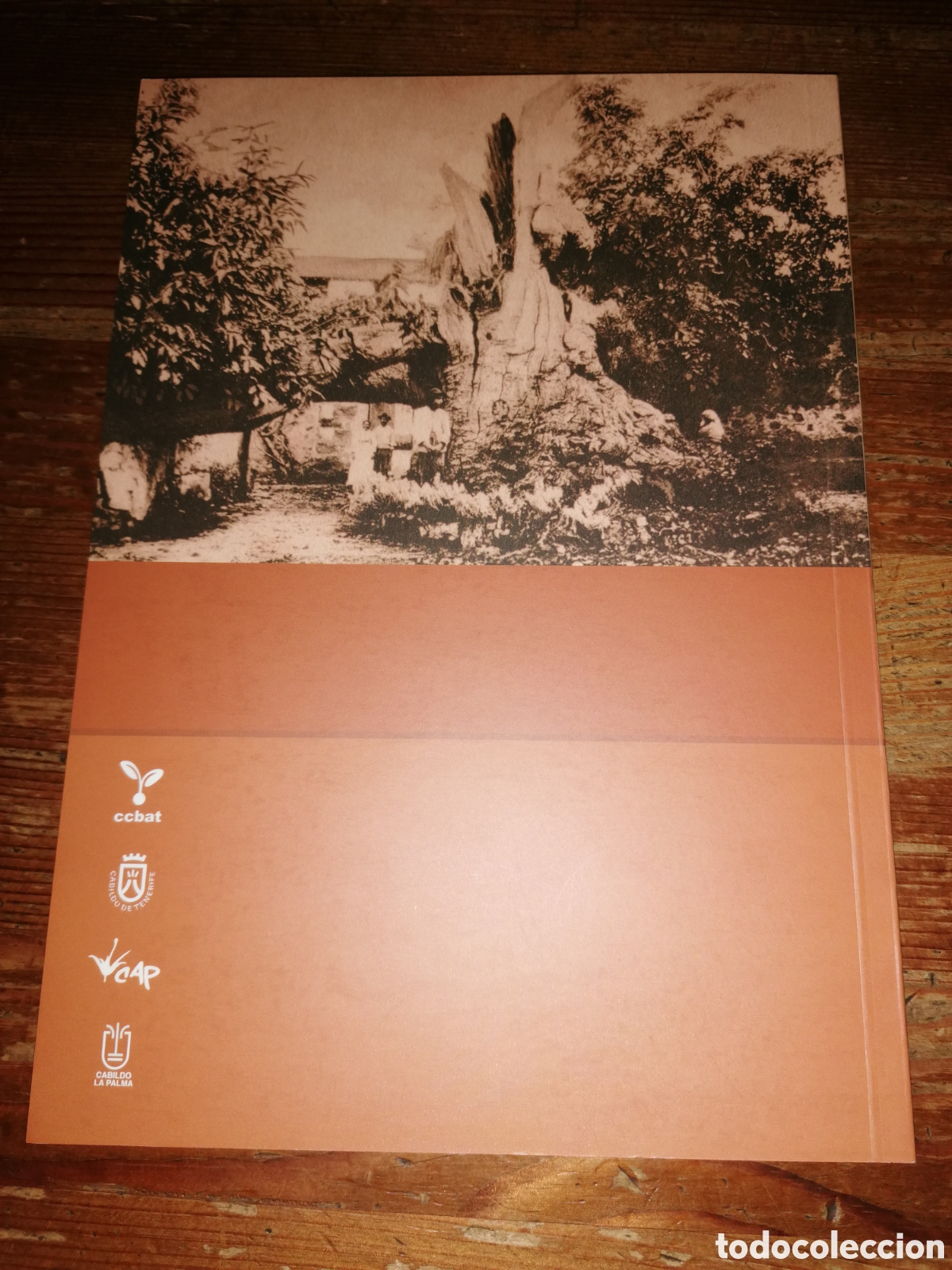 Libros de segunda mano: LOS CASTA&Ntilde;EROS DE CANARIAS - Foto 2