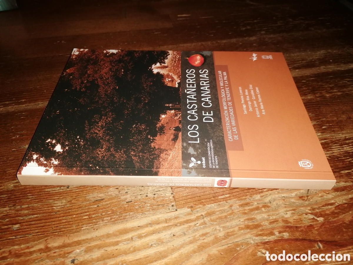 Libros de segunda mano: LOS CASTA&Ntilde;EROS DE CANARIAS - Foto 3