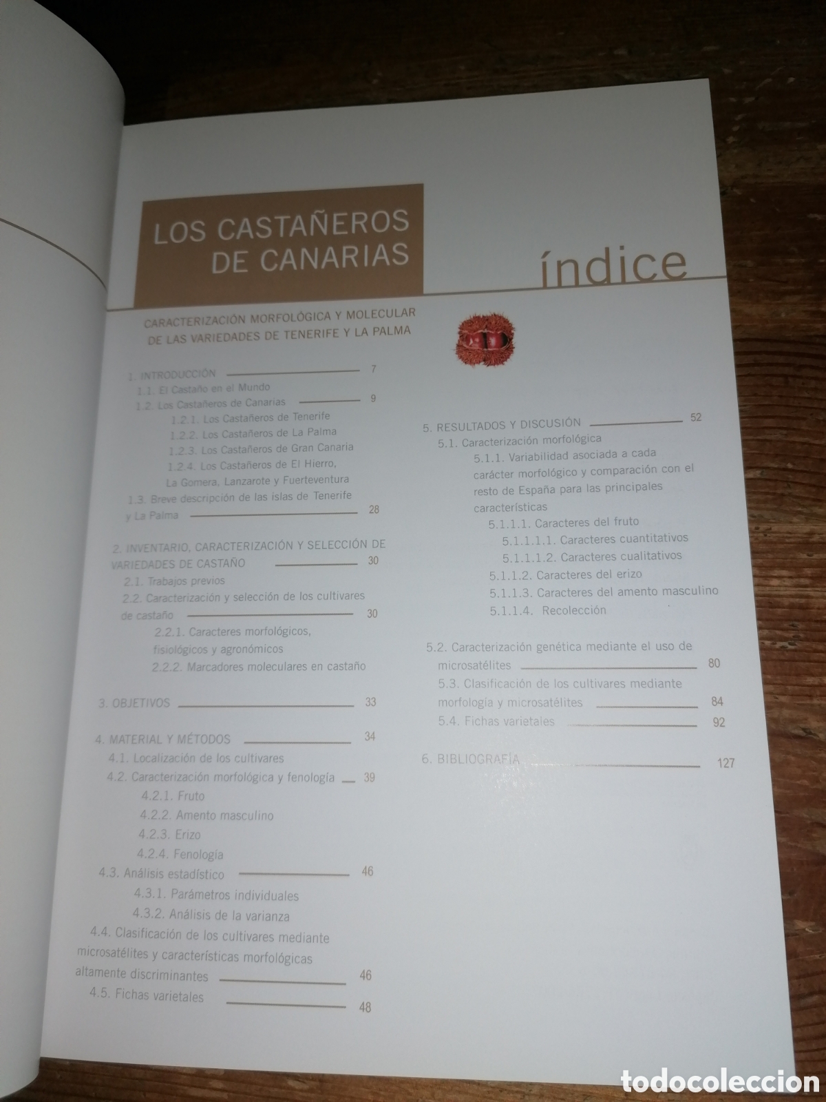 Libros de segunda mano: LOS CASTA&Ntilde;EROS DE CANARIAS - Foto 4