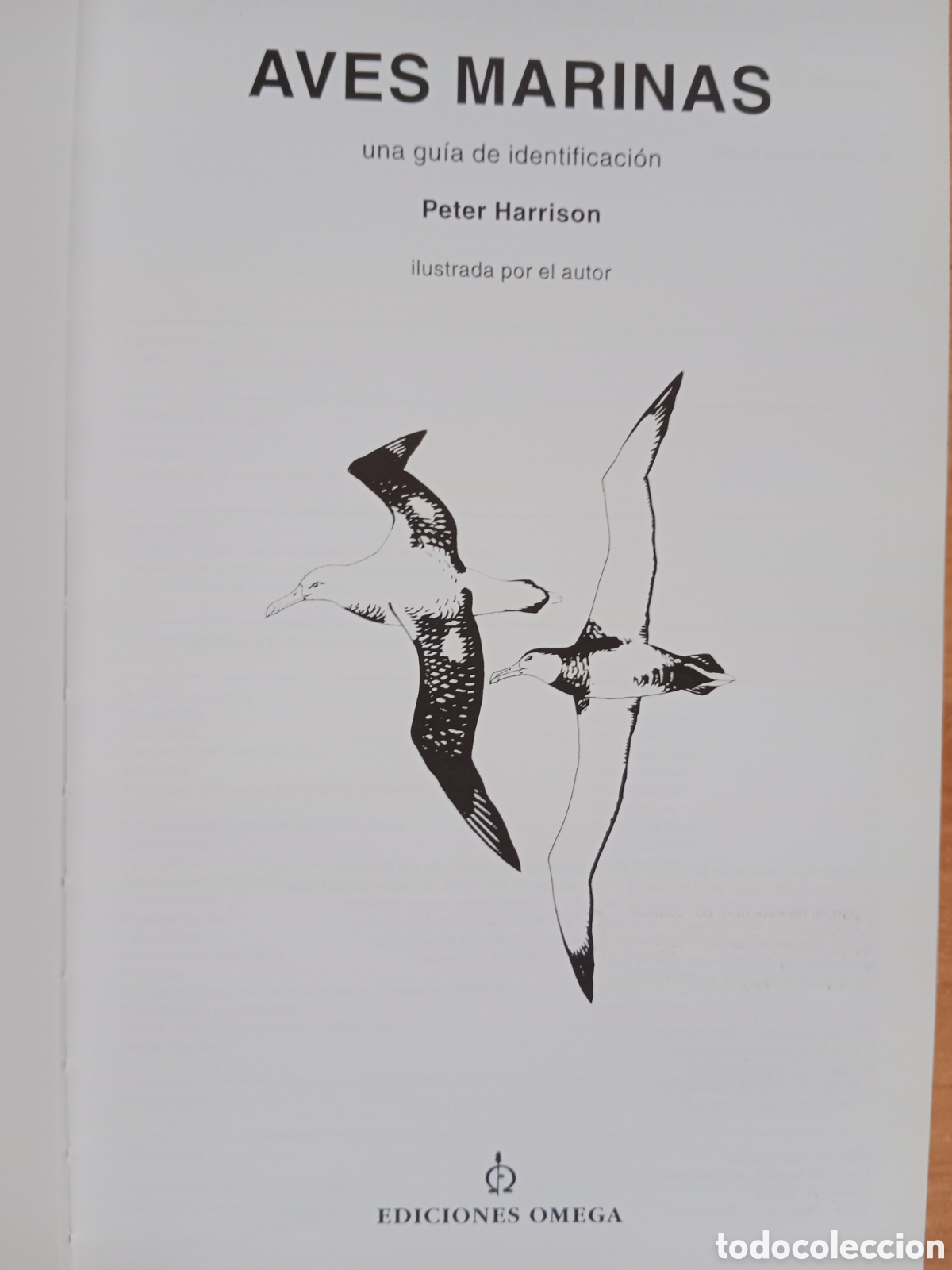 Libros de segunda mano: AVES MARINAS, UNA GU&Iacute;A DE IDENTIFICACI&Oacute;N, PETER HARRISON - Foto 5