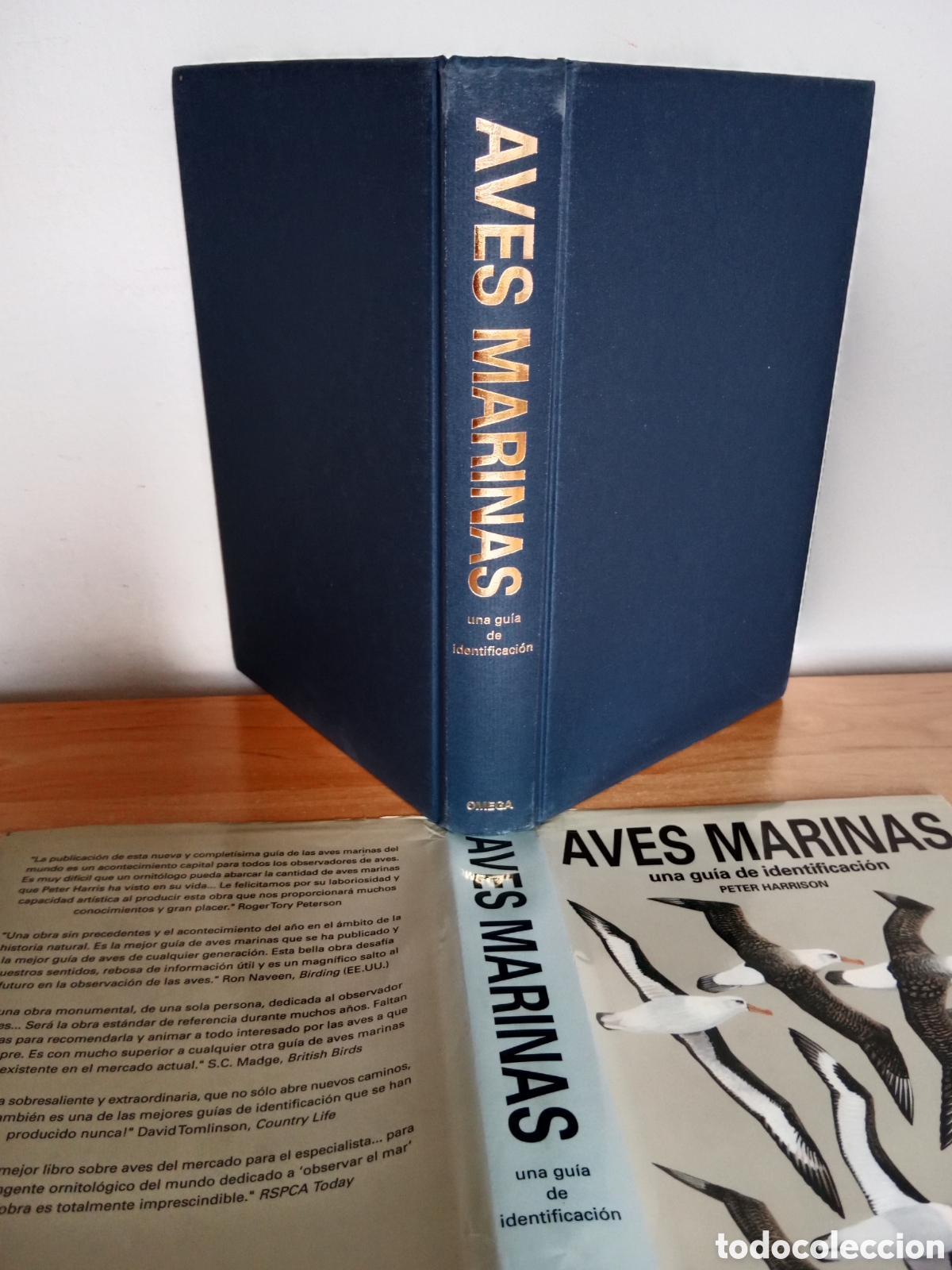 Libros de segunda mano: AVES MARINAS, UNA GU&Iacute;A DE IDENTIFICACI&Oacute;N, PETER HARRISON - Foto 3