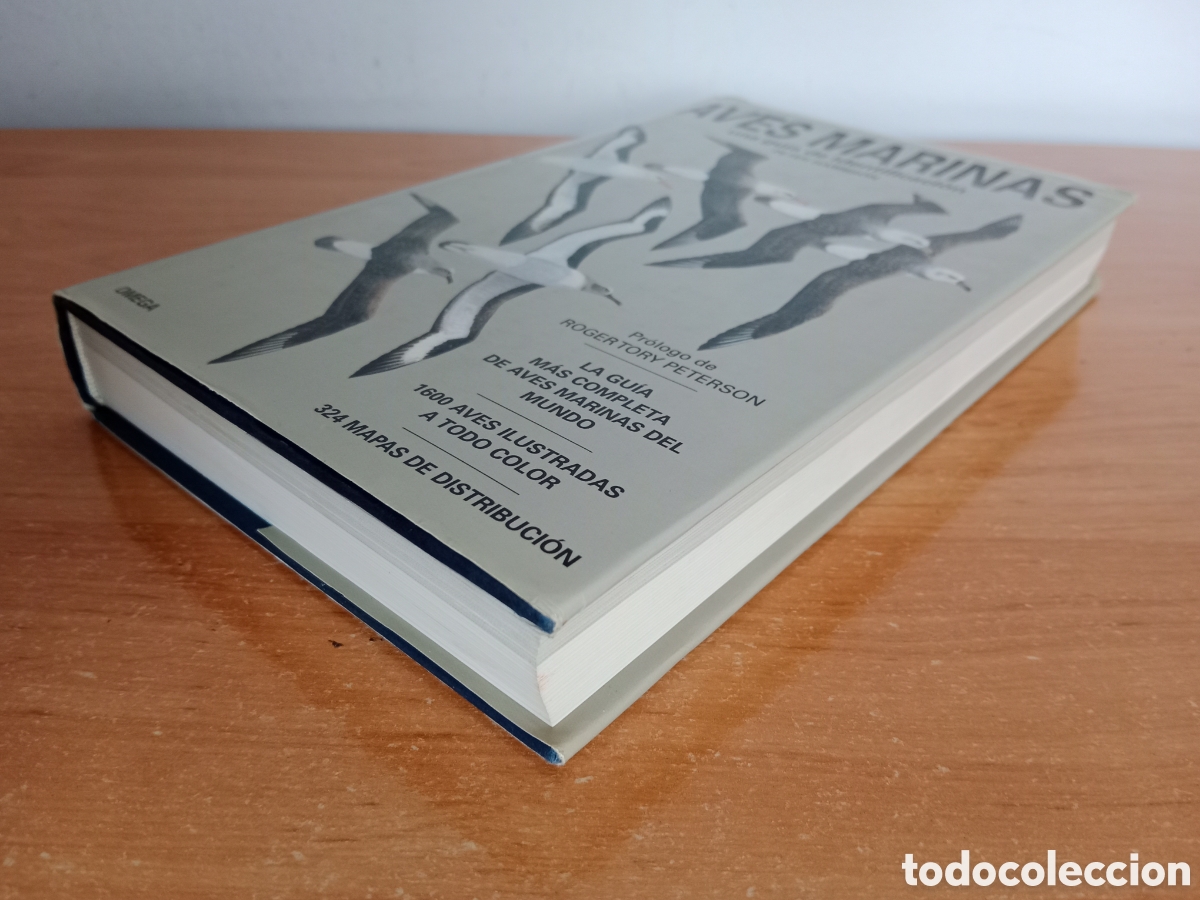 Libros de segunda mano: AVES MARINAS, UNA GU&Iacute;A DE IDENTIFICACI&Oacute;N, PETER HARRISON - Foto 4