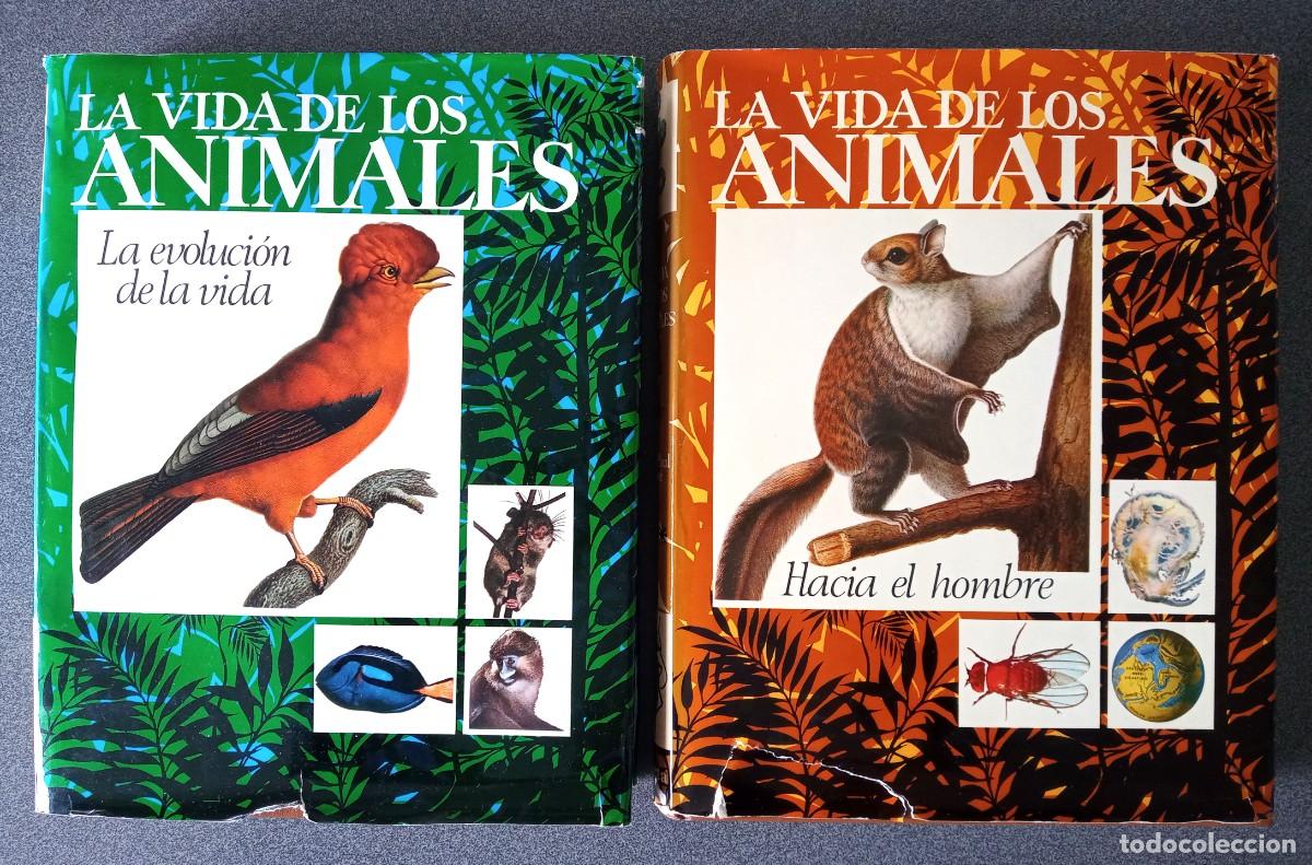 Lote Enciclopedias La Vida De Los Animales