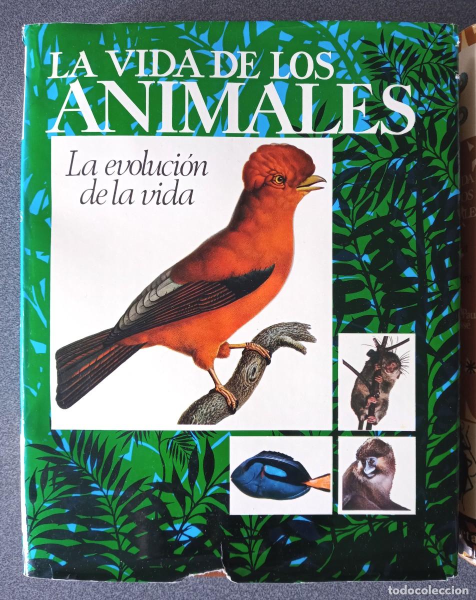 Libros de segunda mano: Lote Enciclopedias La Vida De Los Animales - Foto 3