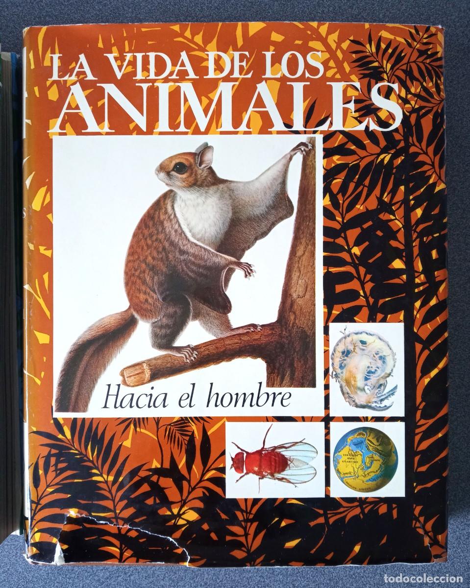 Libros de segunda mano: Lote Enciclopedias La Vida De Los Animales - Foto 4