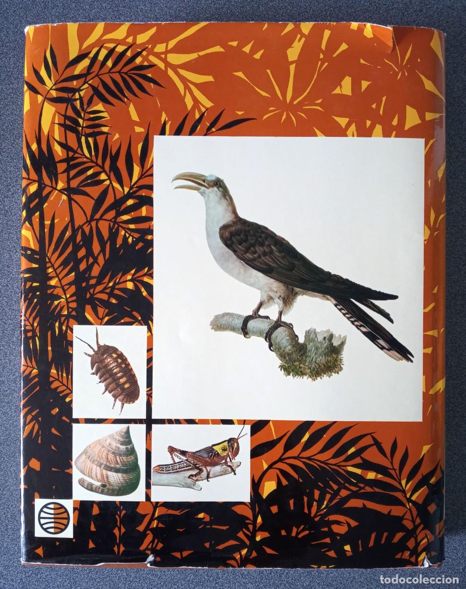 Libros de segunda mano: Lote Enciclopedias La Vida De Los Animales - Foto 6