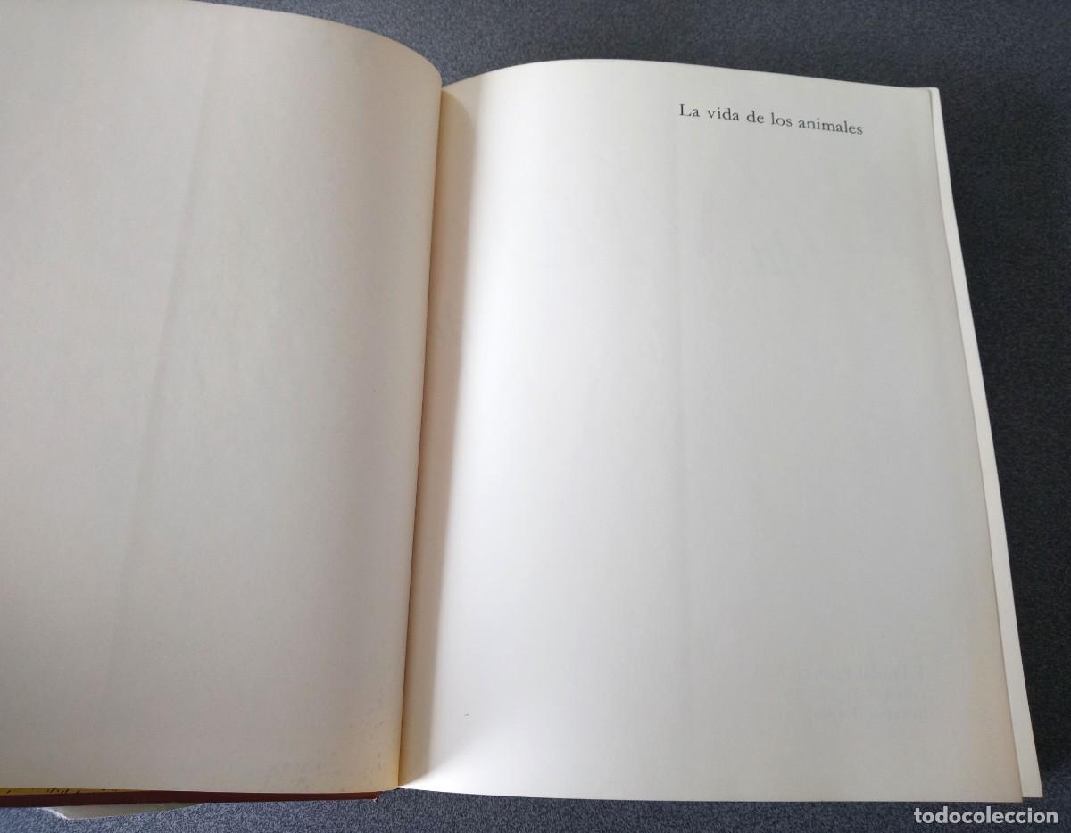 Libros de segunda mano: Lote Enciclopedias La Vida De Los Animales - Foto 9