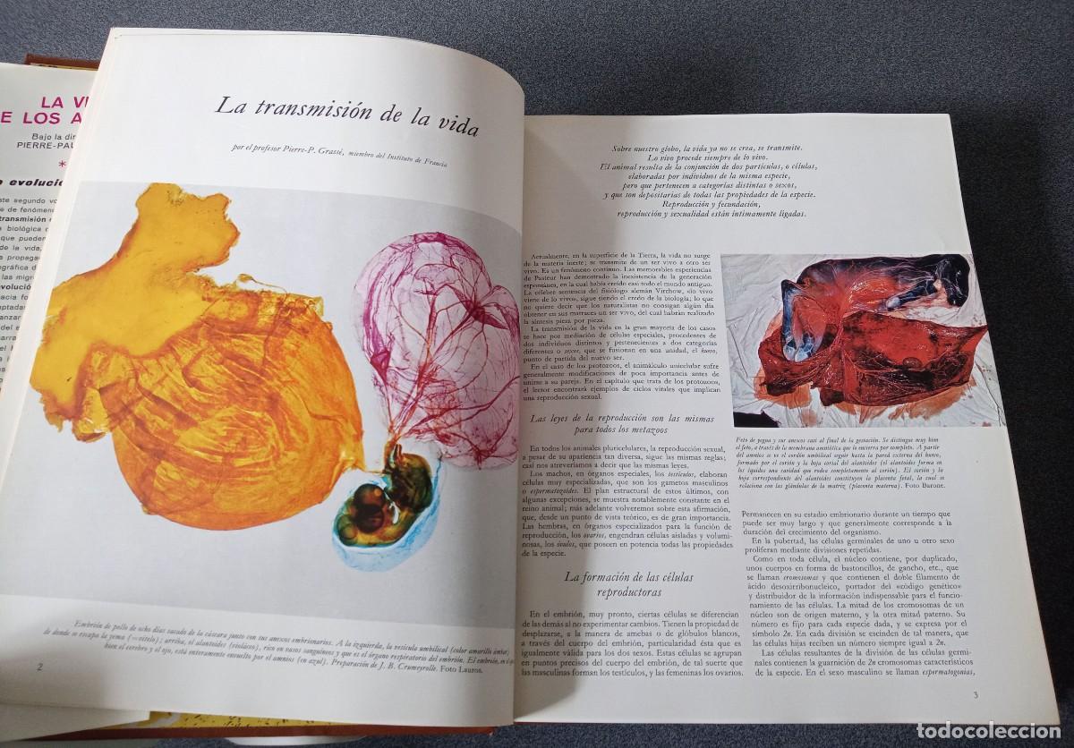 Libros de segunda mano: Lote Enciclopedias La Vida De Los Animales - Foto 13