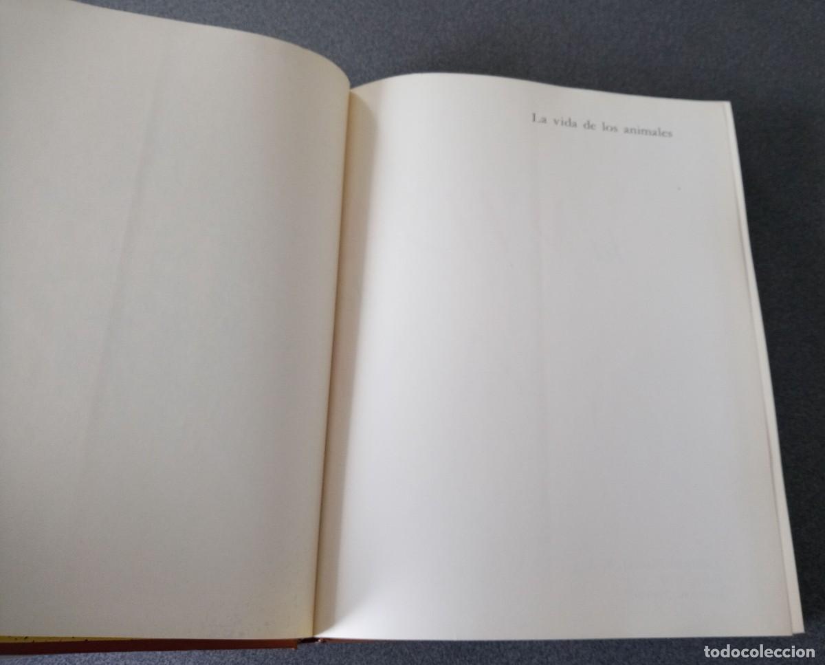 Libros de segunda mano: Lote Enciclopedias La Vida De Los Animales - Foto 17