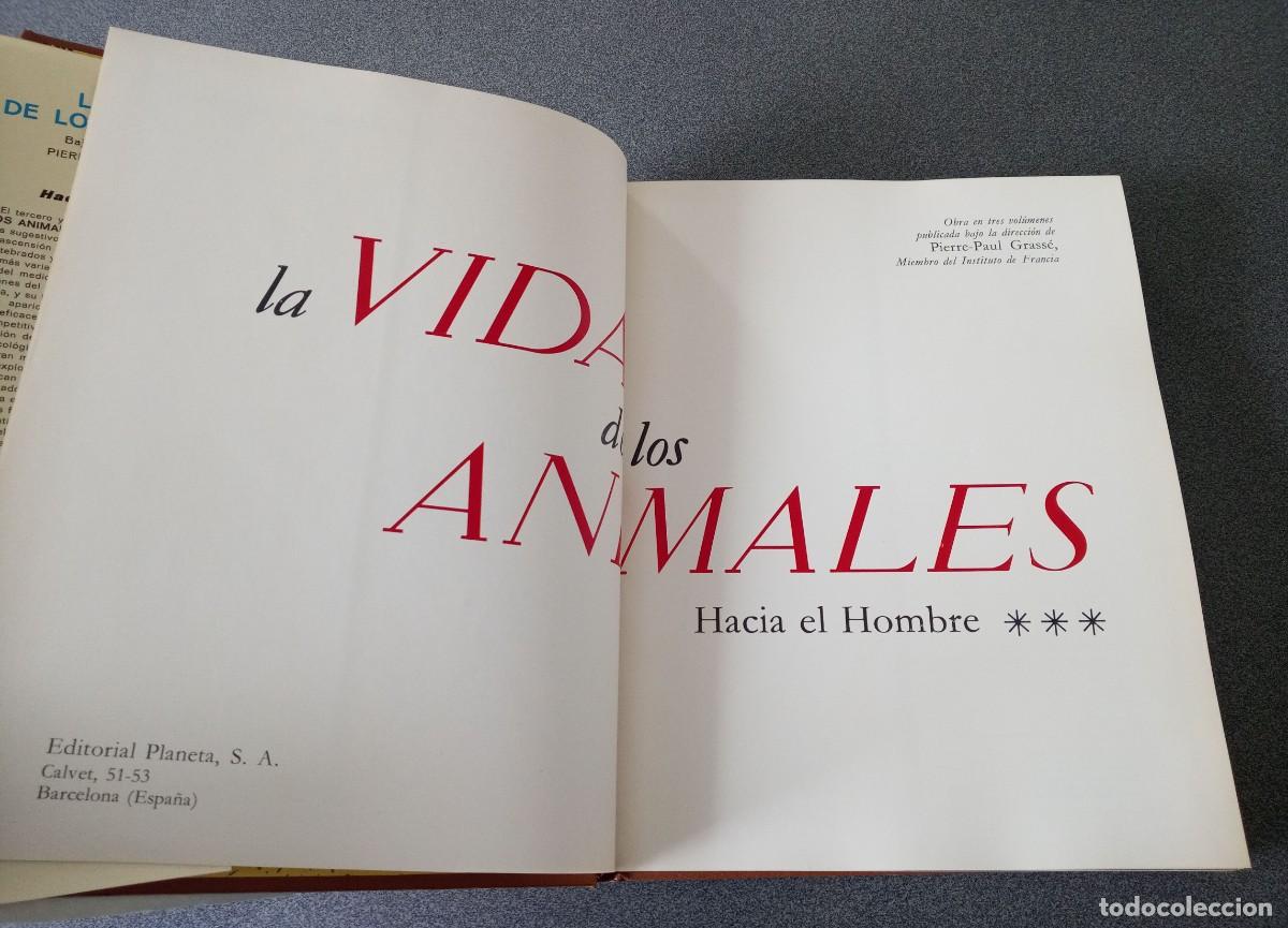 Libros de segunda mano: Lote Enciclopedias La Vida De Los Animales - Foto 18