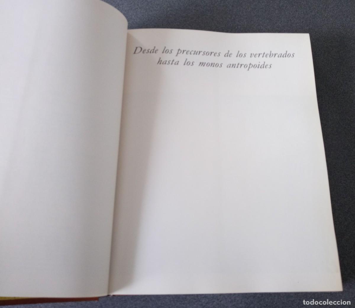 Libros de segunda mano: Lote Enciclopedias La Vida De Los Animales - Foto 21