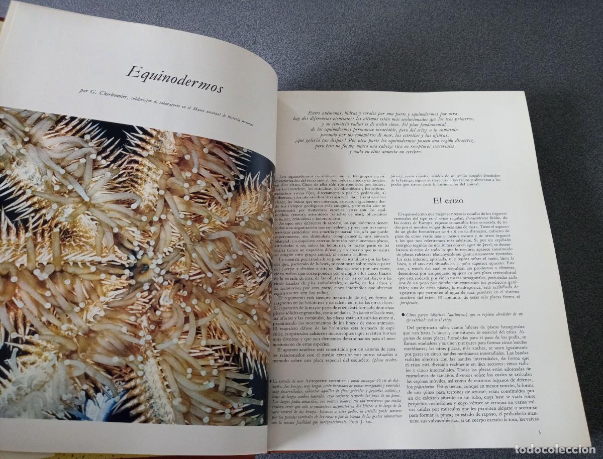 Libros de segunda mano: Lote Enciclopedias La Vida De Los Animales - Foto 22