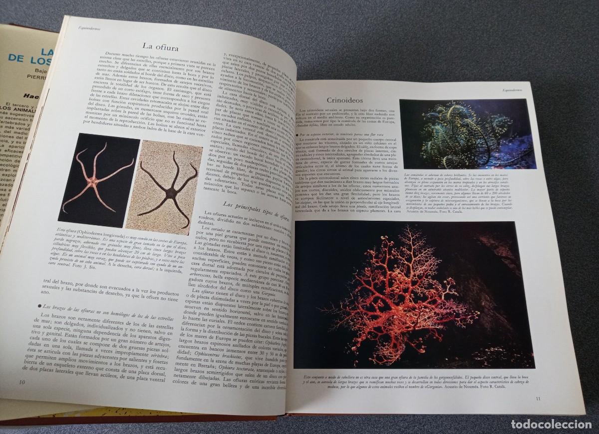 Libros de segunda mano: Lote Enciclopedias La Vida De Los Animales - Foto 23