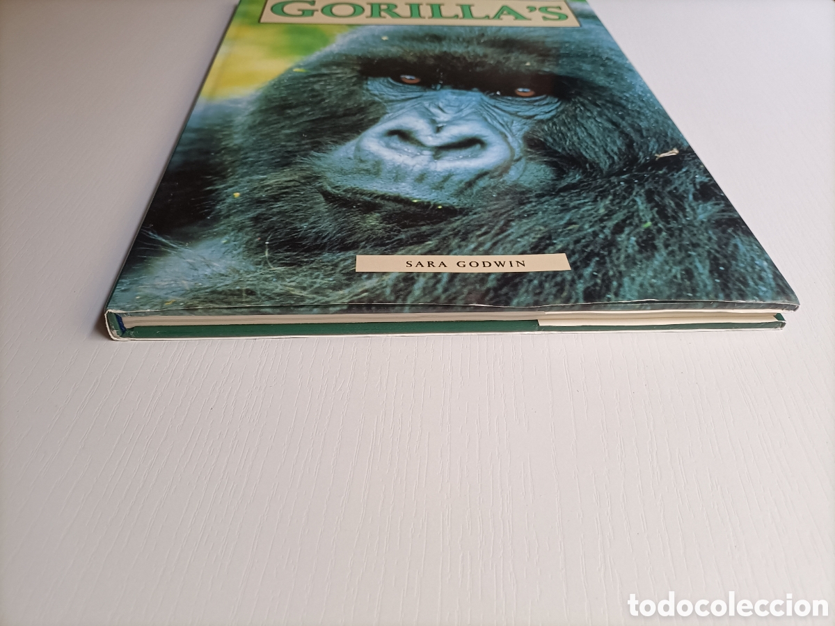 Libros de segunda mano: Gorillas. Sara Godwin ......... ENVIO GRATIS CERT ESPA&Ntilde;A PEN&Iacute;NSULA........ - Foto 3