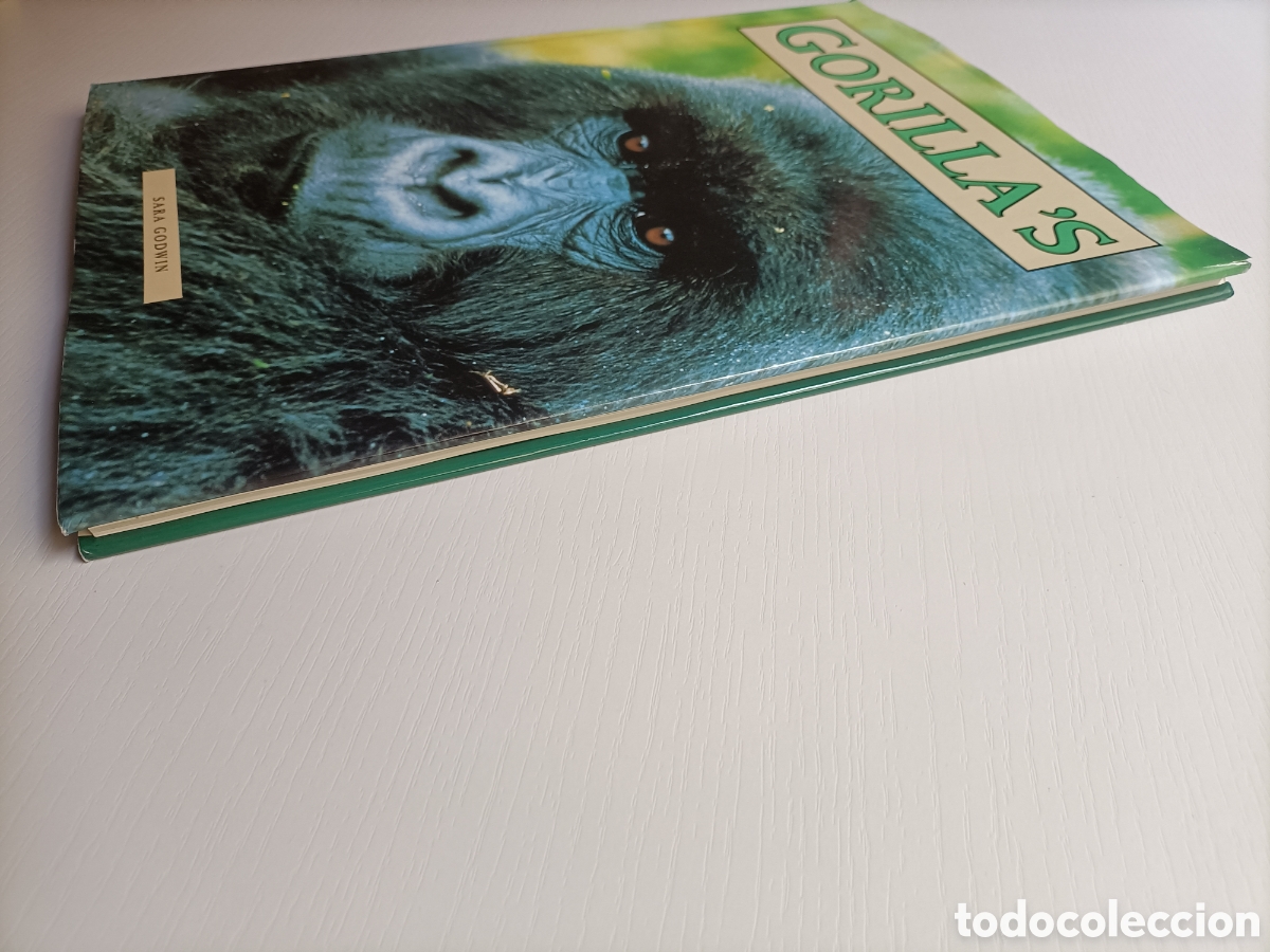 Libros de segunda mano: Gorillas. Sara Godwin ......... ENVIO GRATIS CERT ESPA&Ntilde;A PEN&Iacute;NSULA........ - Foto 4
