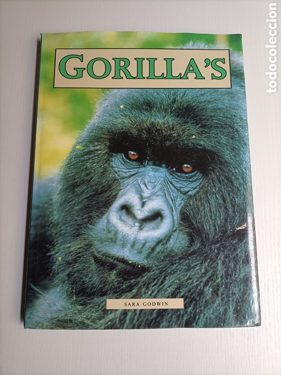 Libros de segunda mano: Gorillas. Sara Godwin ......... ENVIO GRATIS CERT ESPA&Ntilde;A PEN&Iacute;NSULA........ - Foto 1