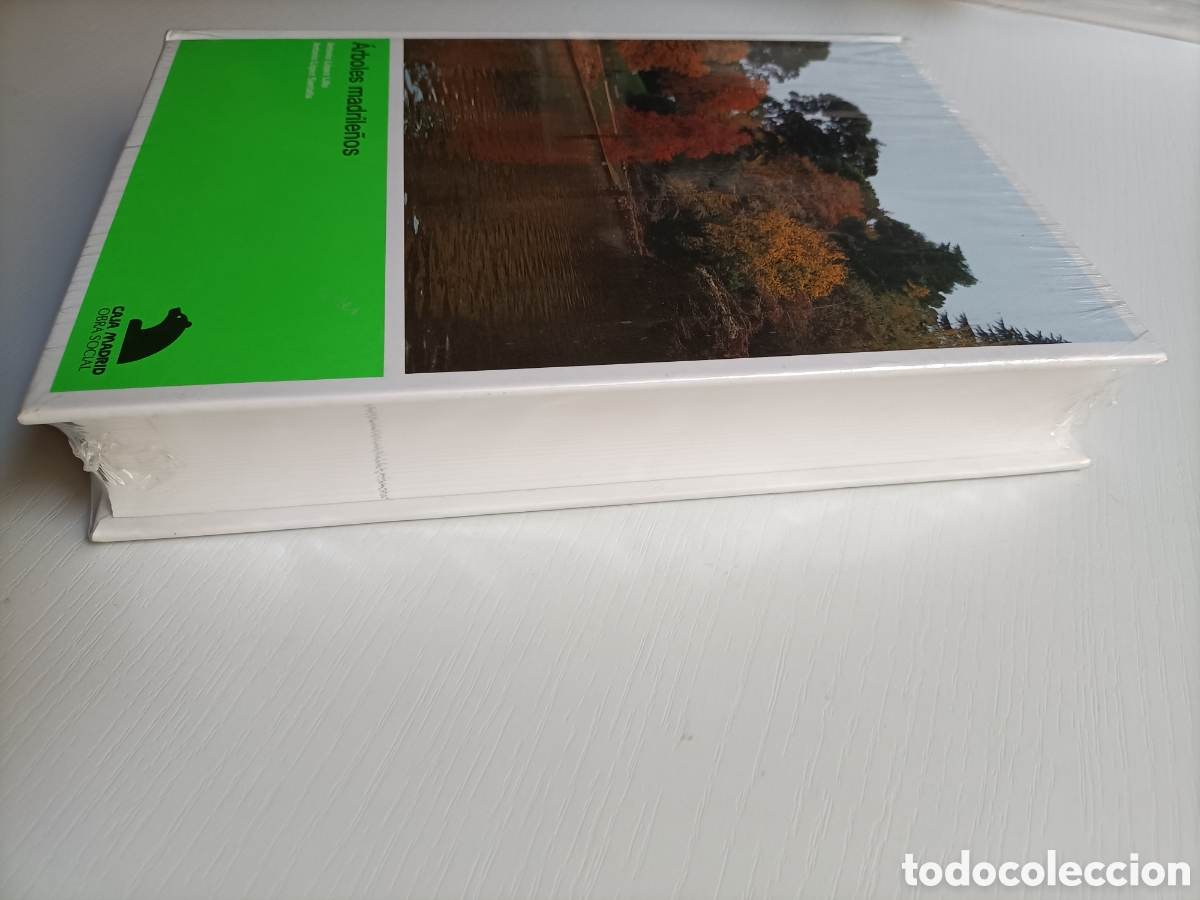 Libros de segunda mano: &Aacute;rboles madrile&ntilde;os Antonio L&oacute;pez Lillo . Sin abrir - Foto 5