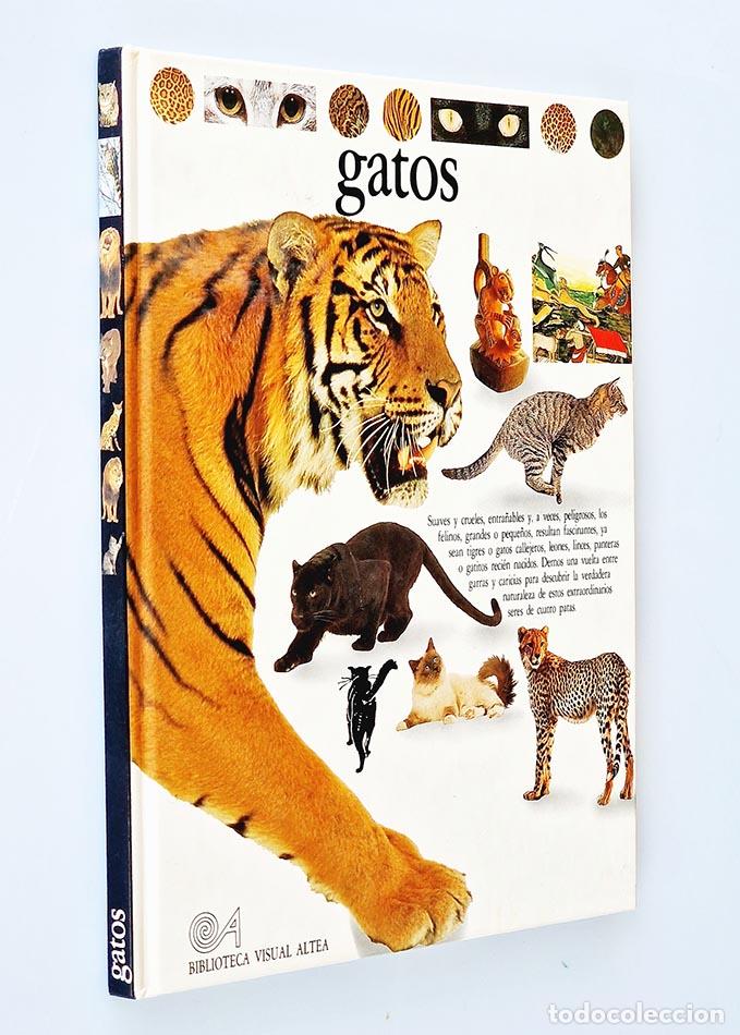 Libros de segunda mano: GATOS - CLUTTON-BROCK, Juliet - Foto 1
