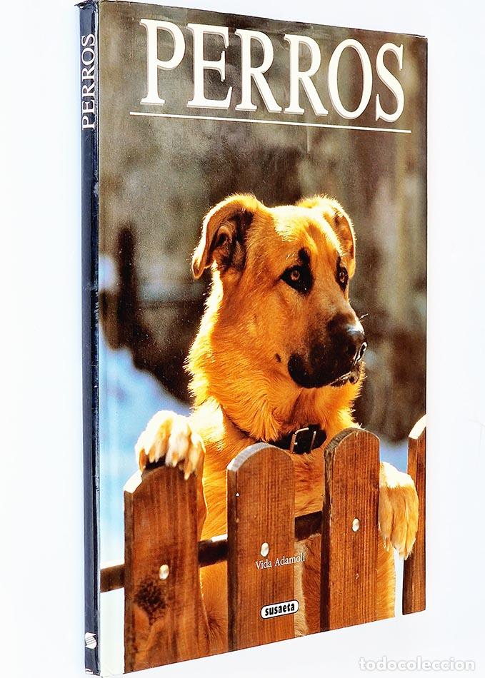Libros de segunda mano: PERROS - ADAMOLI, Vida - Foto 1