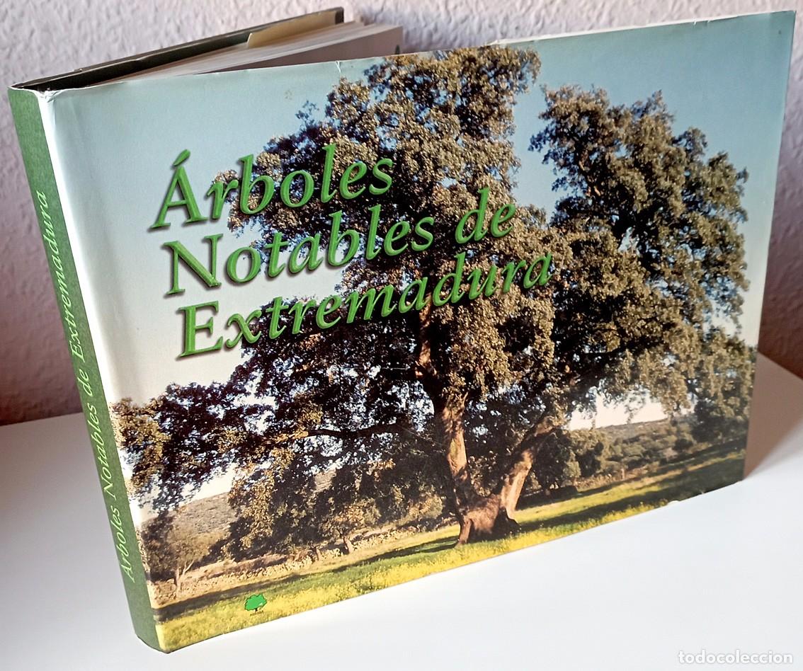 Libros de segunda mano: &Aacute;rboles Notables de Extremadura / ADENEX 1999 - Foto 1