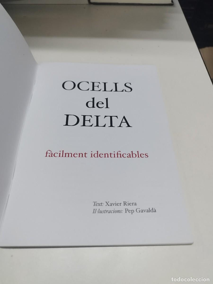 Libros de segunda mano: Ocells del Delta (f&agrave;cilment identificables). Guia de camp. - Foto 2