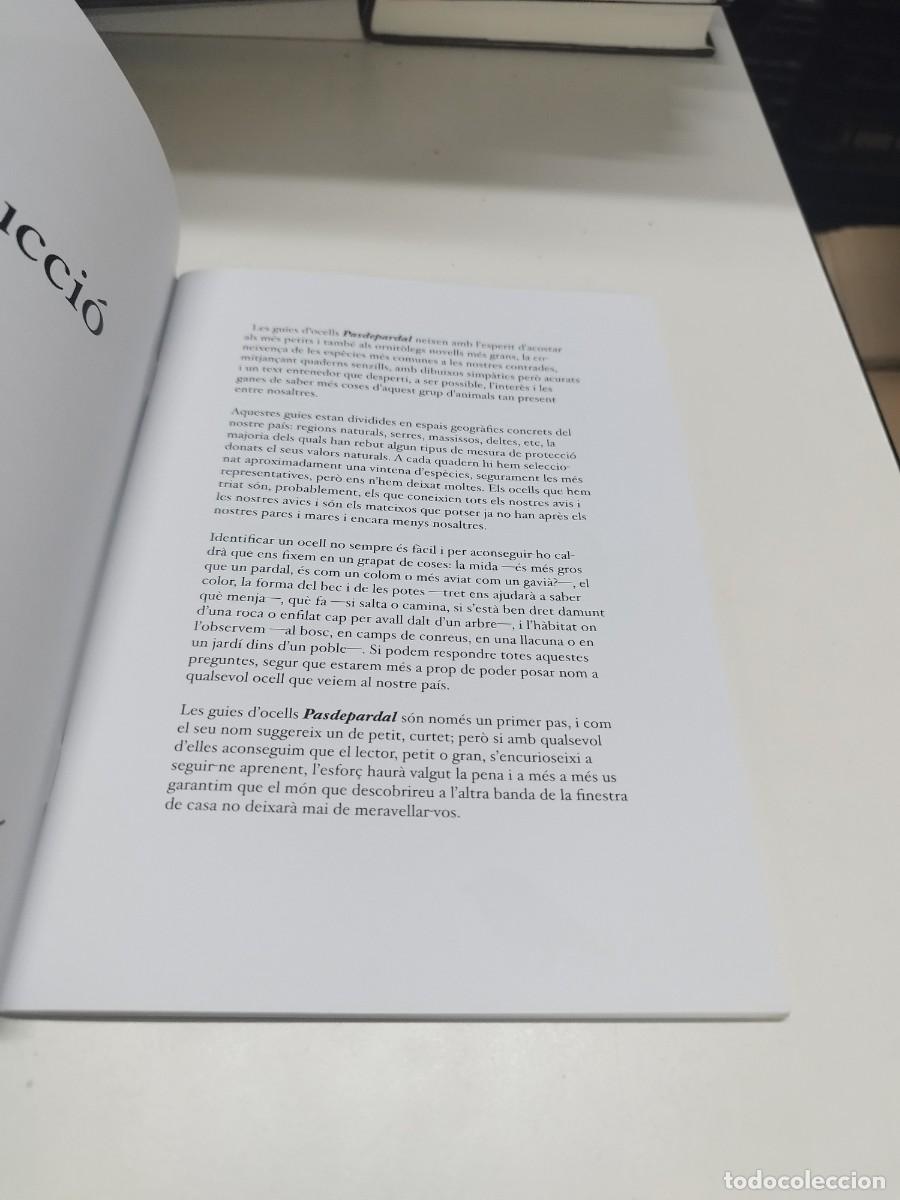 Libros de segunda mano: Ocells del Delta (f&agrave;cilment identificables). Guia de camp. - Foto 3